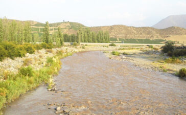Fuente:www.elandino.cl